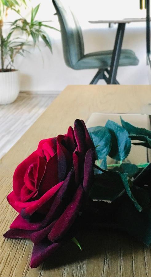 Haus Rose Apartment Ribnitz-Damgarten Ngoại thất bức ảnh